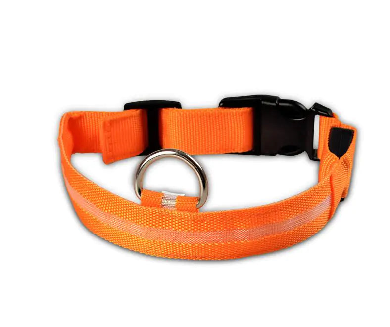 SafePup – You’ll Wish You Bought It Sooner..🐶