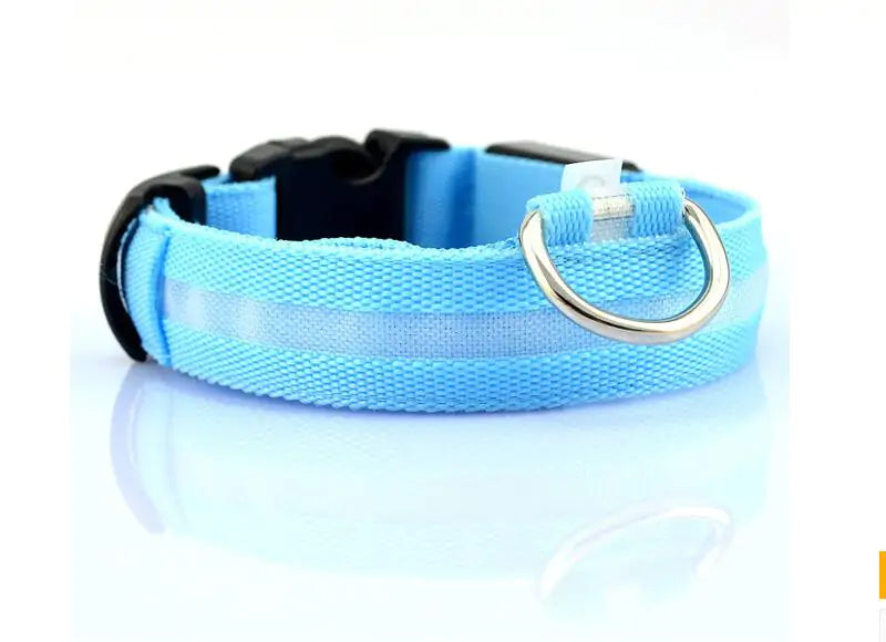 SafePup – You’ll Wish You Bought It Sooner..🐶