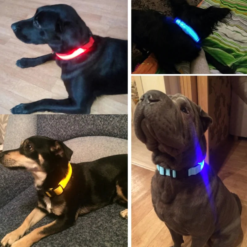 SafePup – You’ll Wish You Bought It Sooner..🐶