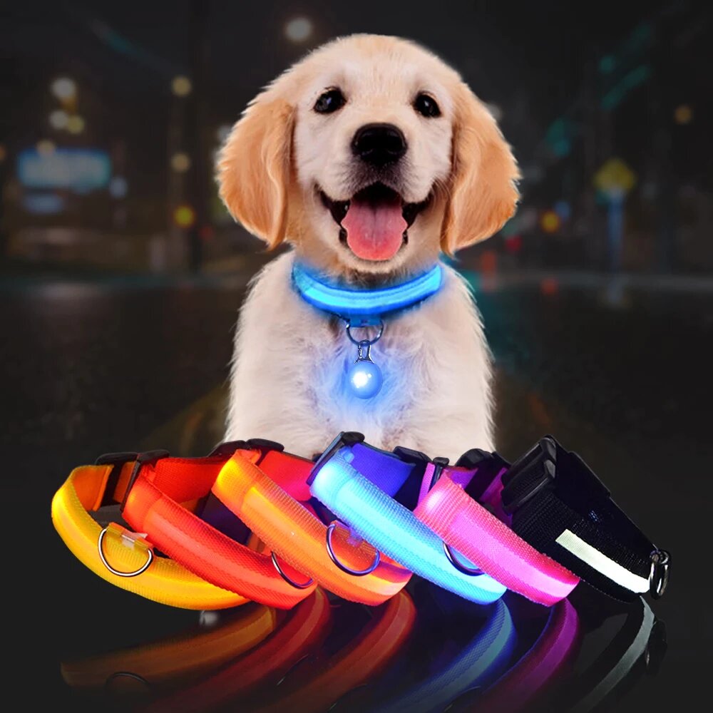 SafePup – You’ll Wish You Bought It Sooner..🐶