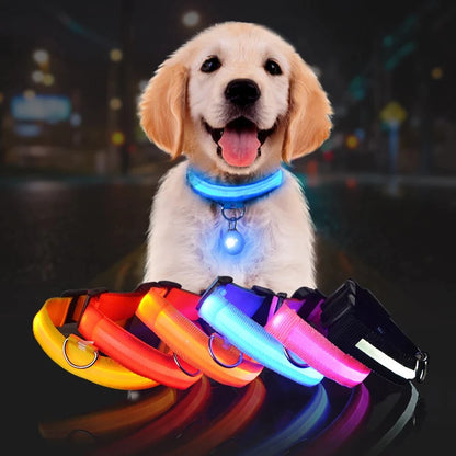 SafePup – You’ll Wish You Bought It Sooner..🐶