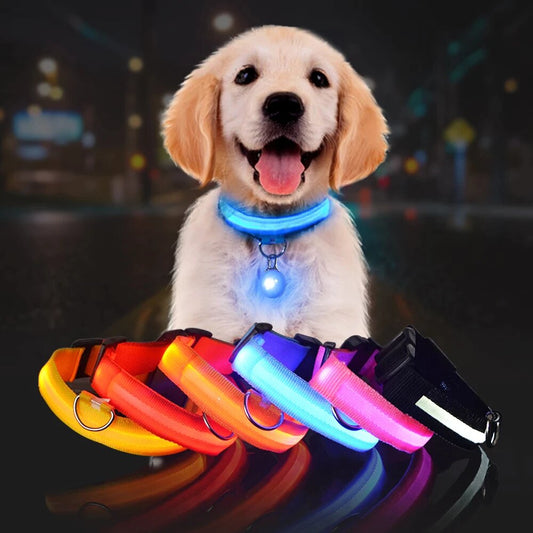 SafePup – You’ll Wish You Bought It Sooner..🐶
