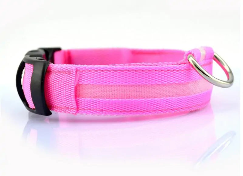 SafePup – You’ll Wish You Bought It Sooner..🐶