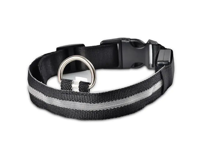 SafePup – You’ll Wish You Bought It Sooner..🐶
