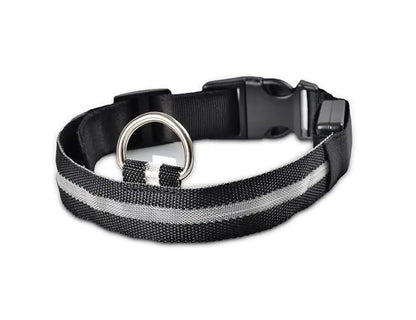 SafePup – You’ll Wish You Bought It Sooner..🐶
