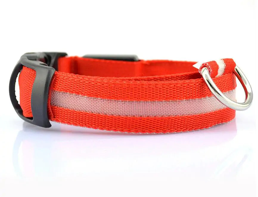 SafePup – You’ll Wish You Bought It Sooner..🐶