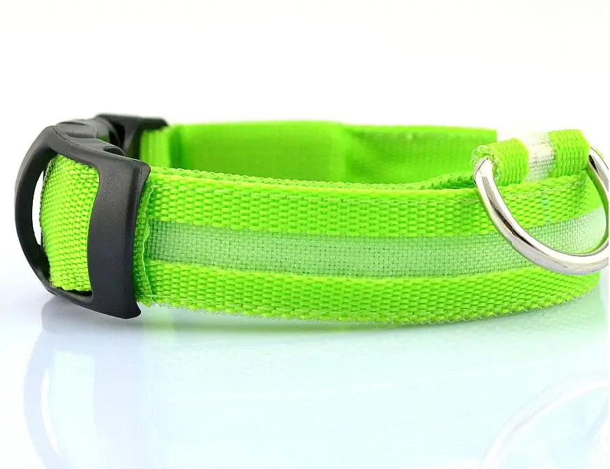 SafePup – You’ll Wish You Bought It Sooner..🐶