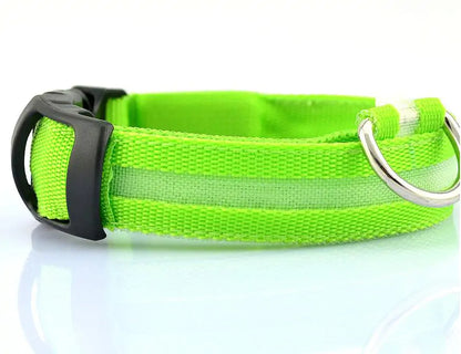 SafePup – You’ll Wish You Bought It Sooner..🐶