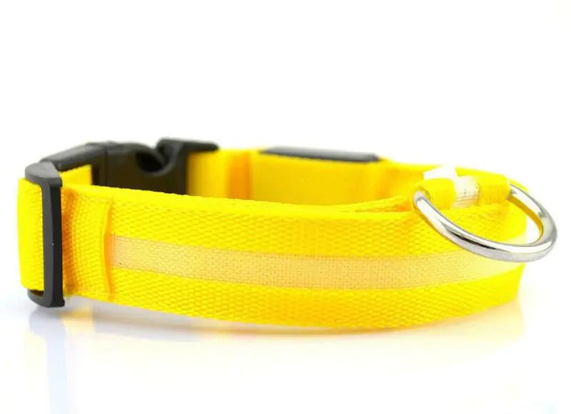SafePup – You’ll Wish You Bought It Sooner..🐶